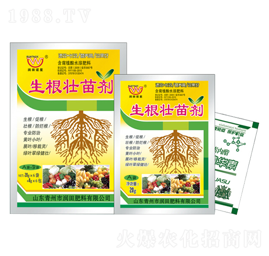 �������焩A+B-��(r��n)�����