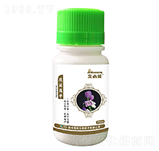 ���g����-������-�κ��r�I(y��)