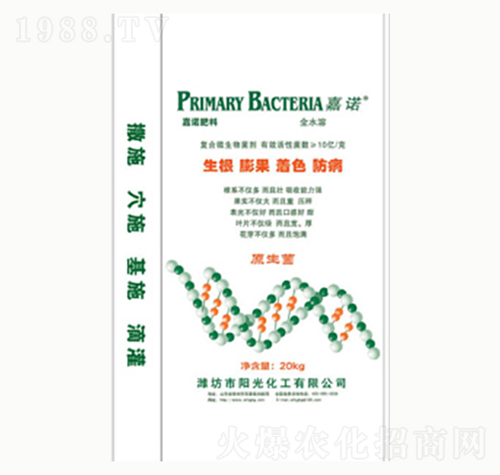 ���������ɫ������-���Z-ꖹ⻯��