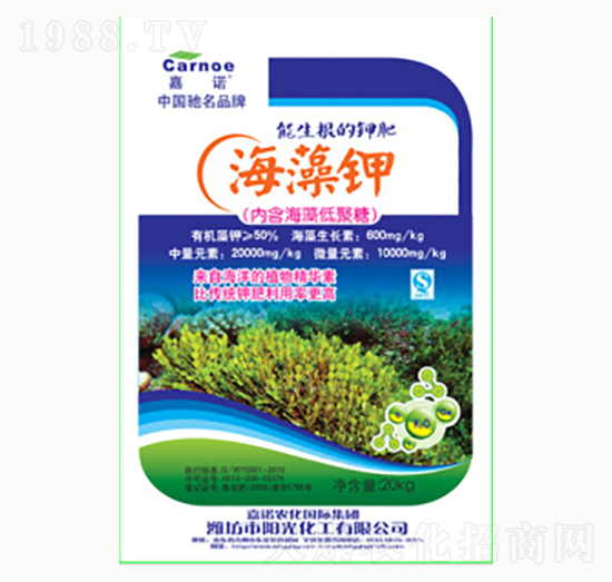 �����-ꖹ⻯��