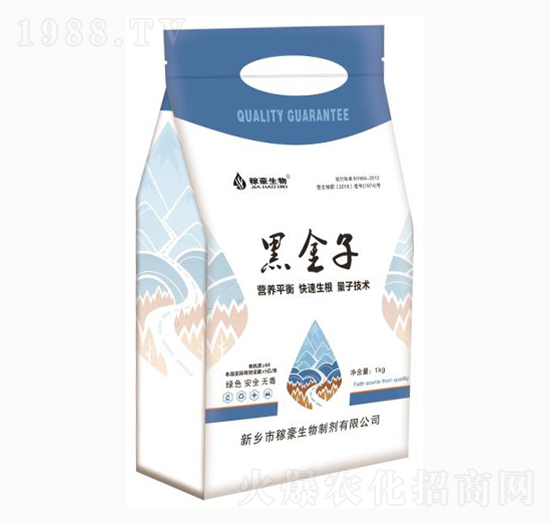 �ڽ���-�ں�����