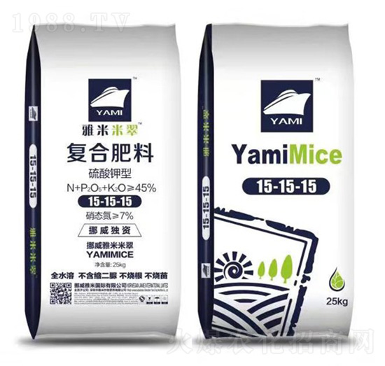 ������͏ͺϷ���15-15-15-�����״�