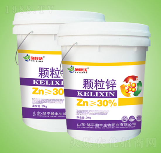 �w���\-ʩ����-��S����