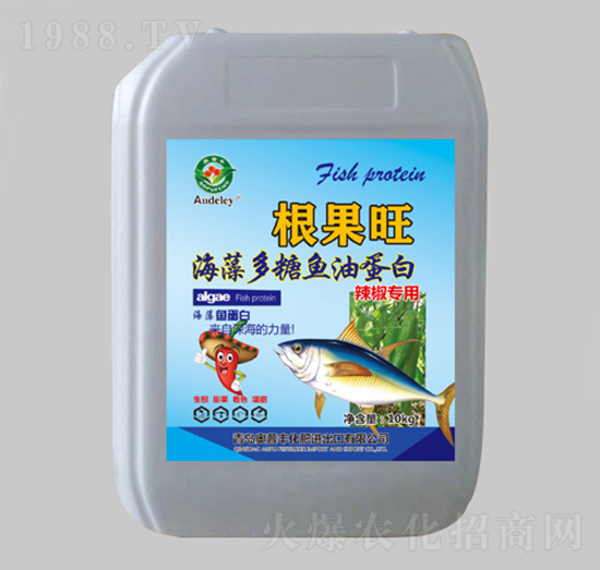 �������ú�������~�͵���-������-�W���S