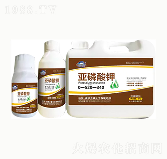 �������-��혻���