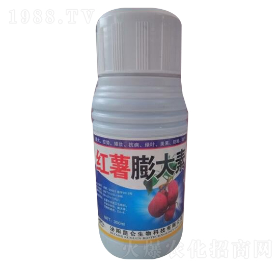 �t�������-�����_