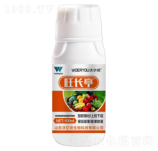 ���Lͤ-�֠���(y��u)