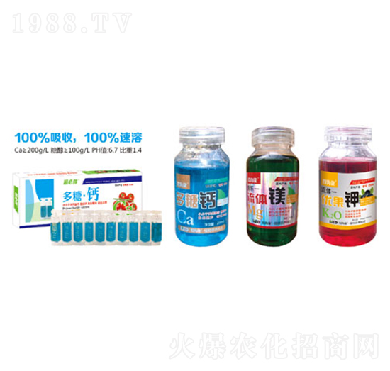 �����}���w�V��(y��u)���-������