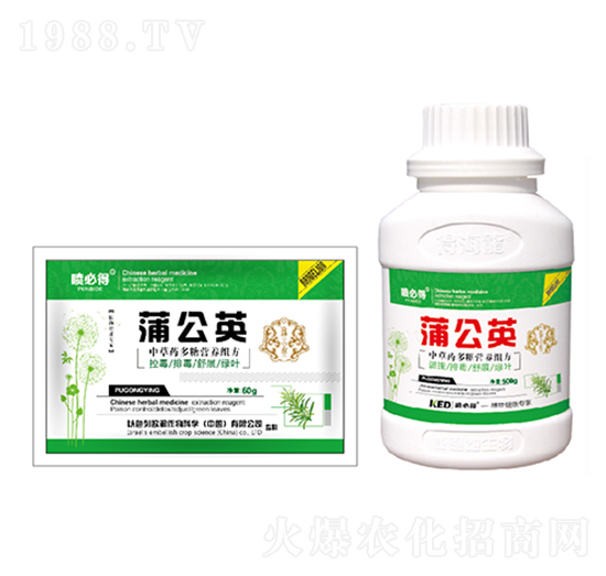 �ѹ�Ӣ-���ص�-������