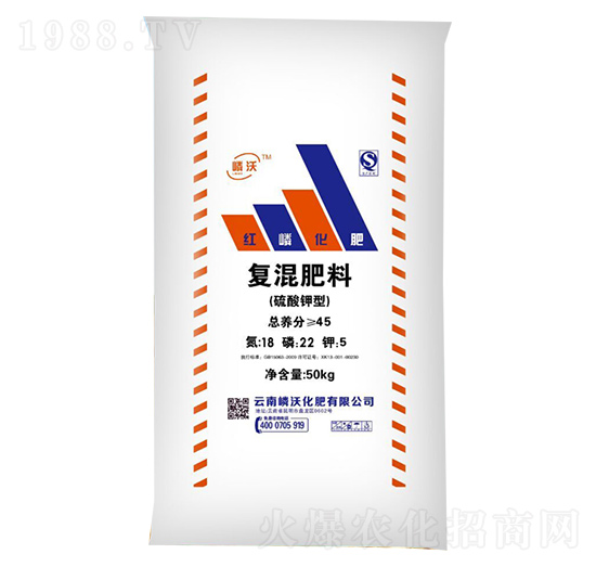 ������͏�(f��)�����18-22-5-����