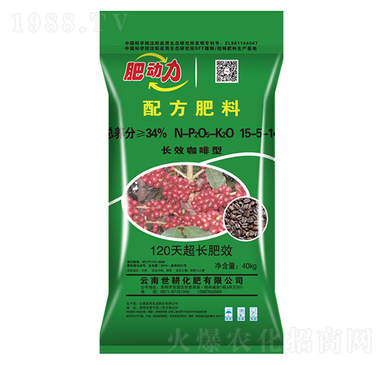 �LЧ�������䷽����-����