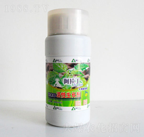 �������L(zh��ng)��-������