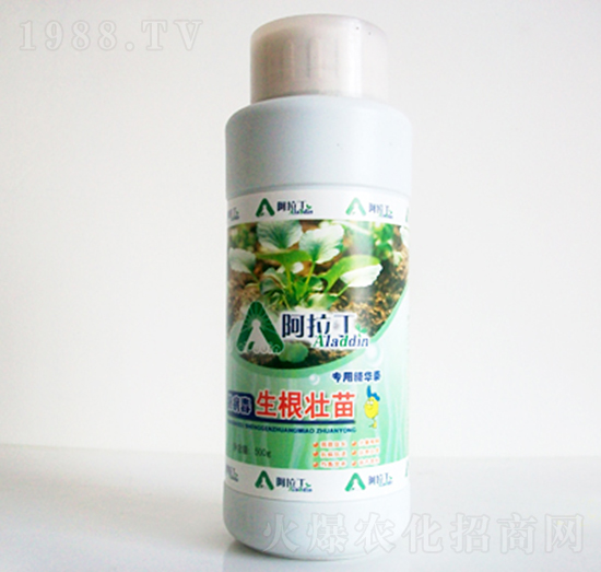 500ml�������猣�þ��A��-������