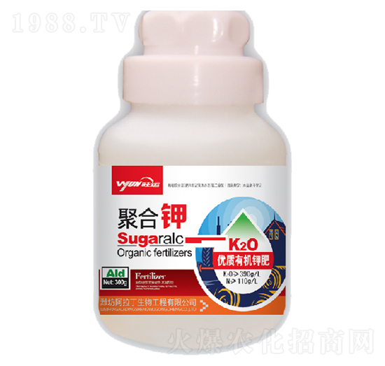 �ۺ��-������