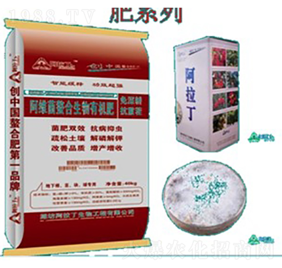 ���¸��o���-���S�������������ЙC(j��)��-������