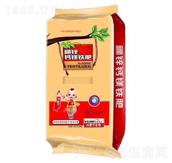 ���\�}�V�F��-������