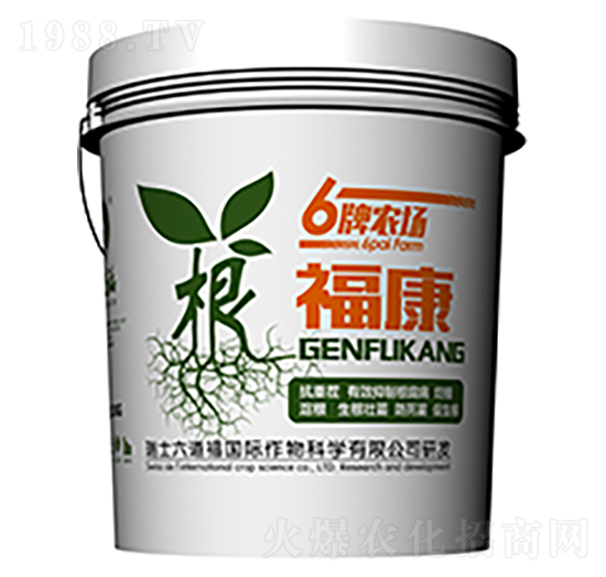 ������-������