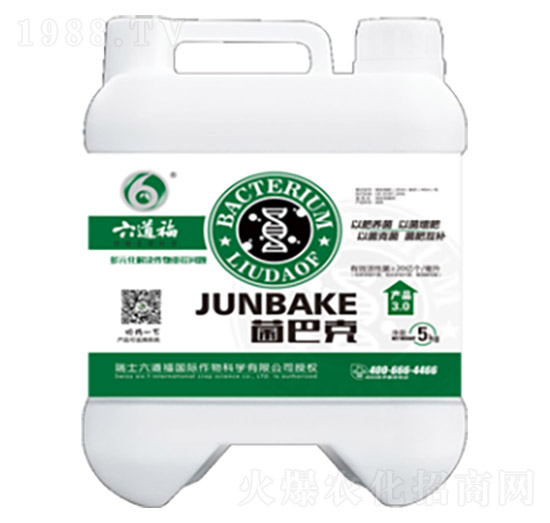 ���Ϳ�-������