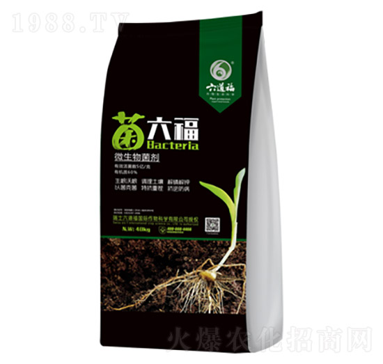 ΢�������-������-������