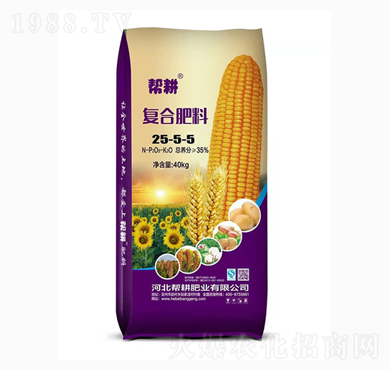 ��(f��)�����25-5-5-�͸��ʘI(y��)