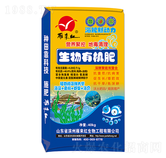 �����ЙC(j��)��-������(d��ng)��-����t