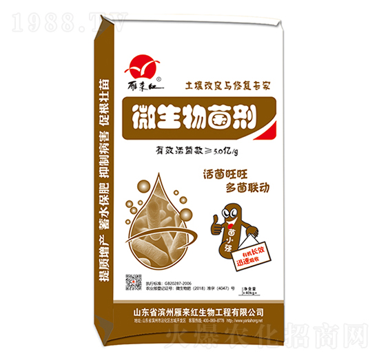 ΢�������-����t