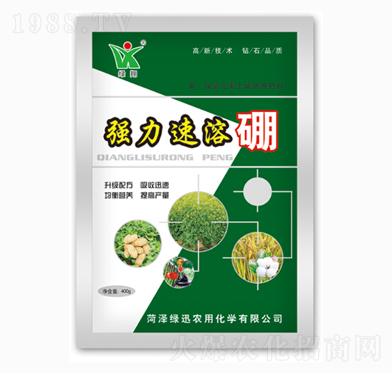 ����������-�GѸ