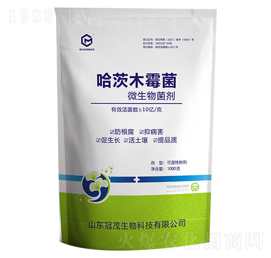 ����ľù��-��ï����