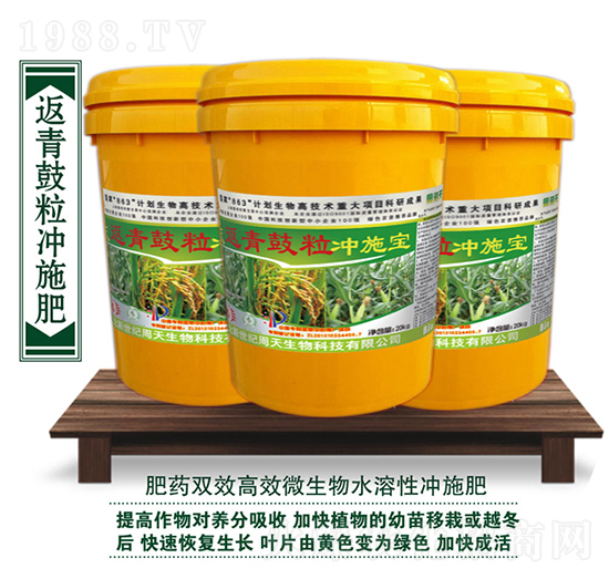 ��������_ʩ��-��������