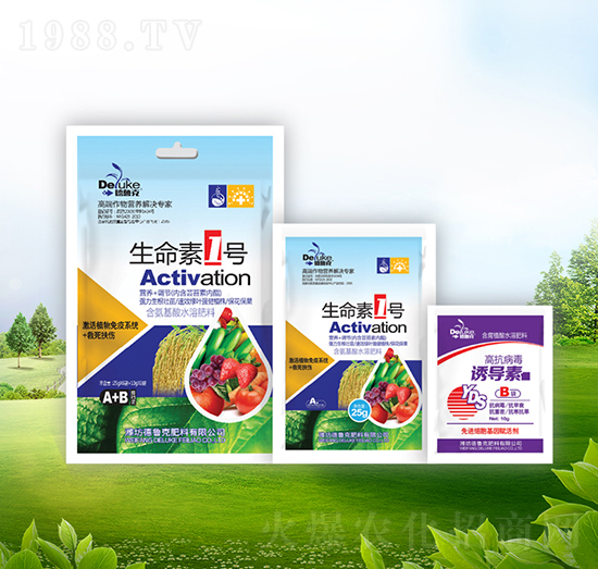 ������1̖+�T��(d��o)��-������