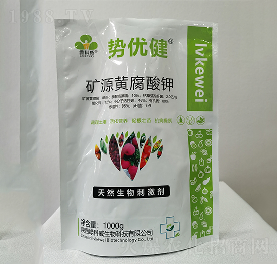 �VԴ�S�����-�݃�(y��u)��-�G����