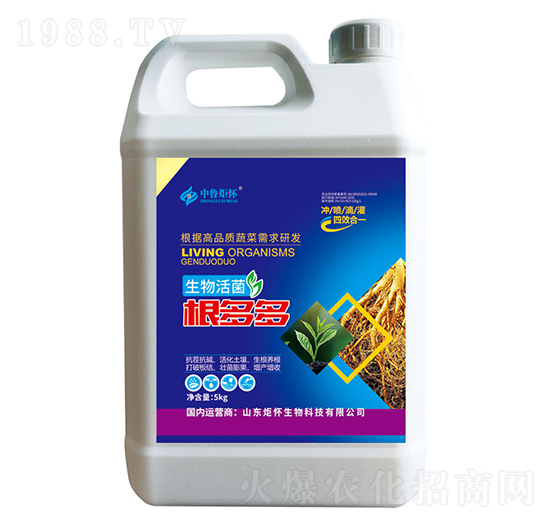 �����������-ɽ�|�������