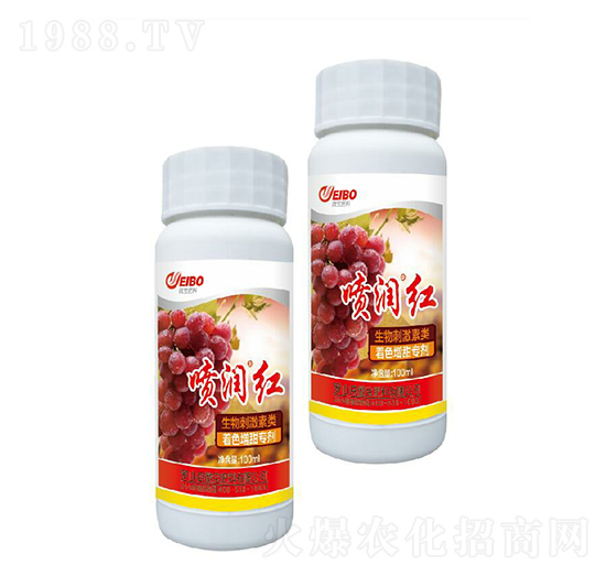 ����̼����ɫ�������Ä�-�����t-΢������