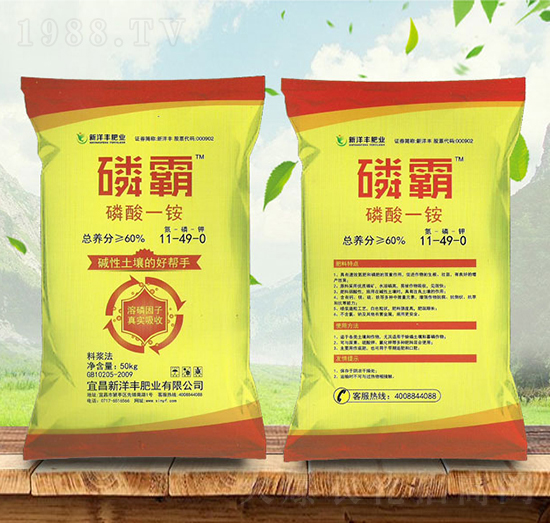 ����һ�@11-49-0-�װ�-����r(n��ng)�Y