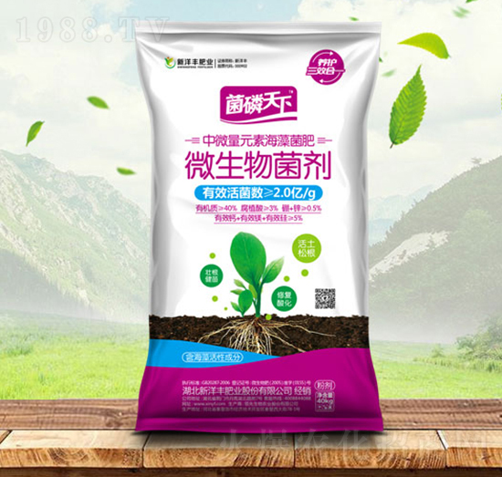 ΢�������-��������-����r�Y