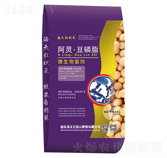 ΢�������-���`����֬-����t��Ԫ