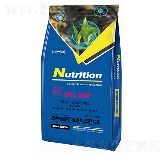 ���@����-����ʘI(y��)