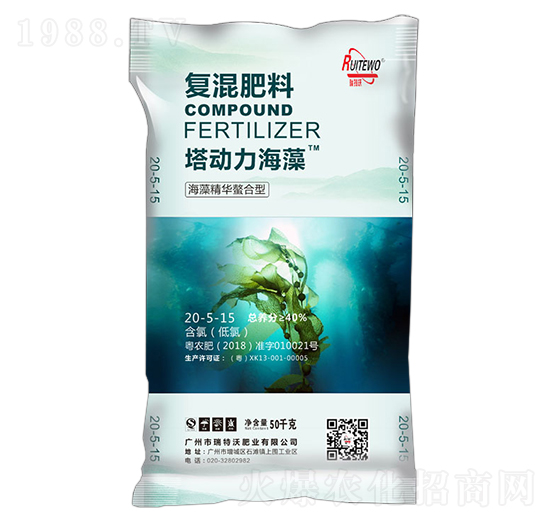 ���徫�A�����͏�(f��)�����20-5-15-����������-������