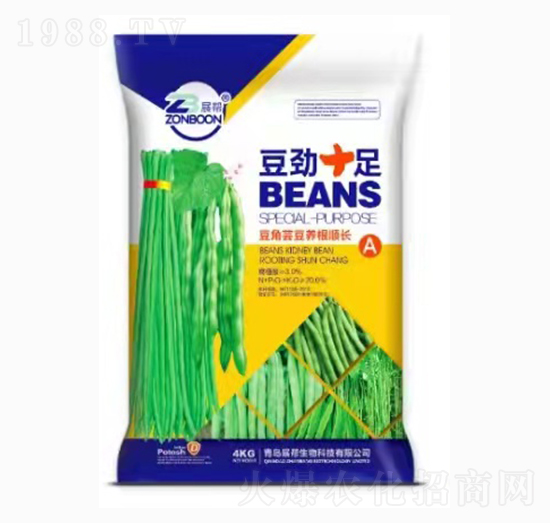 �����|���B(y��ng)����L-����ʮ��-չ��