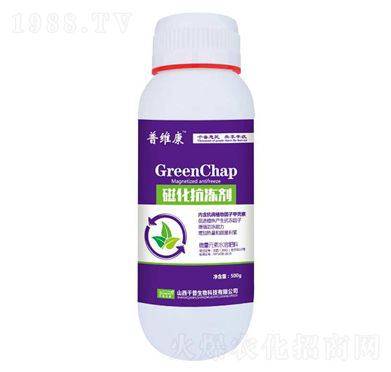 �Ż�������-�վS��-ǧ������