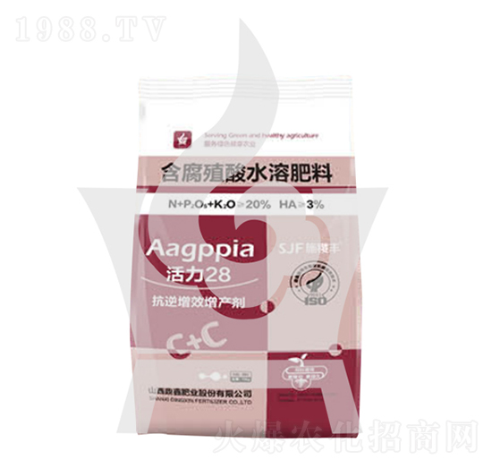 ����28����ֳ��ˮ�ܷ���-ʩ��S-���ηʘI(y��)