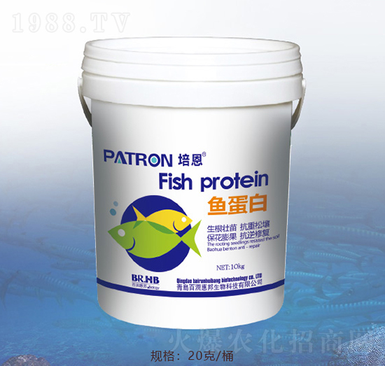 �~����-�ٝ��ݰ�