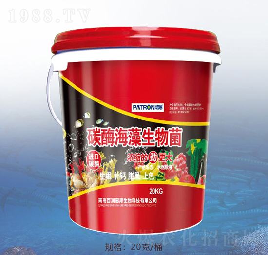 ̼ø���������-�ٝ�(r��n)�ݰ�