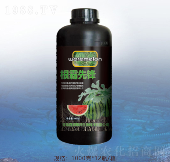 �������h-�ٝ��ݰ�