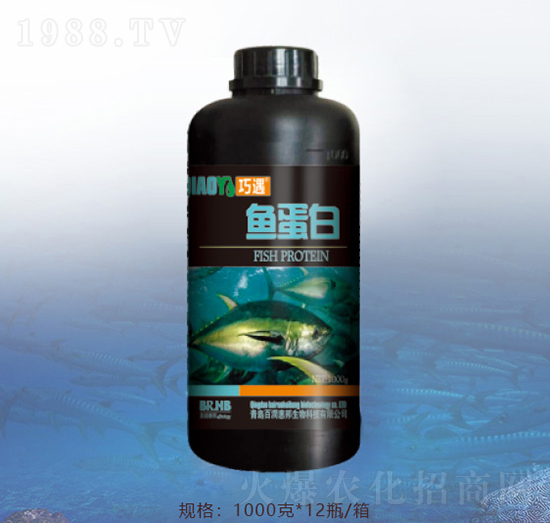 1000���~(y��)����-�ٝ�(r��n)�ݰ�