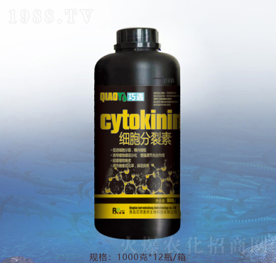 ����������-�ٝ��ݰ�