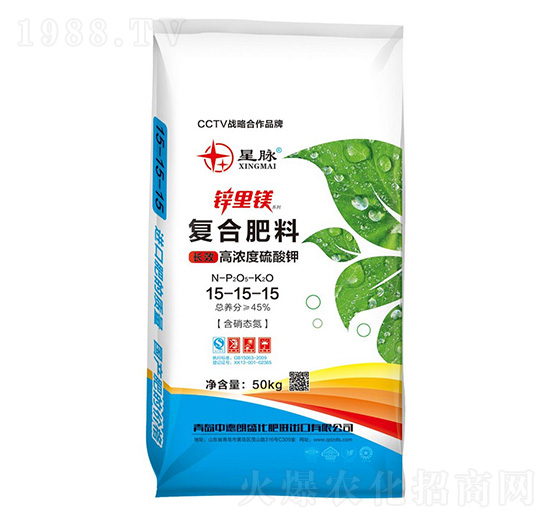 �ߝ������⛏�(f��)�Ϸ���15-15-15-�\���V-�е���ʢ