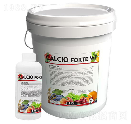 摡福特-斯巴格羅