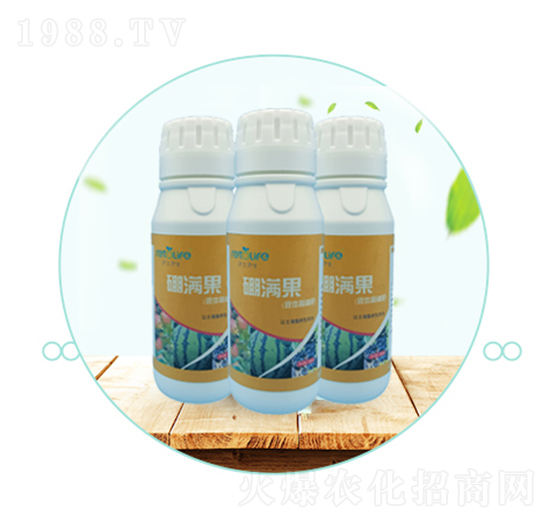 ��M��-��������