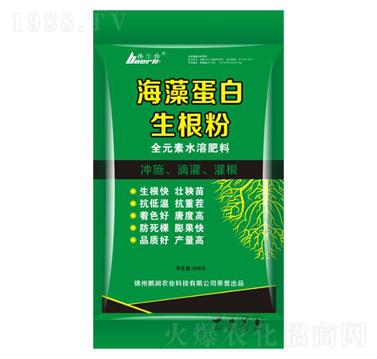 ���嵰��������-�i��(r��n)�r(n��ng)�I(y��)